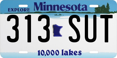 MN license plate 313SUT