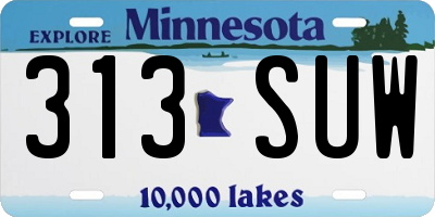 MN license plate 313SUW