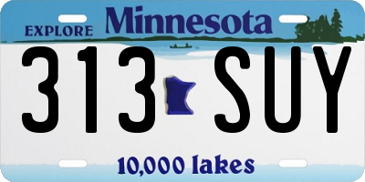 MN license plate 313SUY