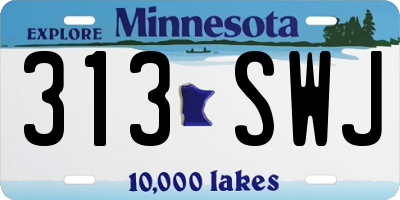 MN license plate 313SWJ