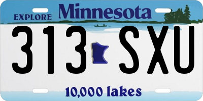 MN license plate 313SXU