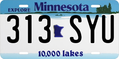 MN license plate 313SYU