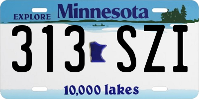 MN license plate 313SZI