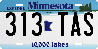 MN license plate 313TAS