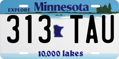 MN license plate 313TAU