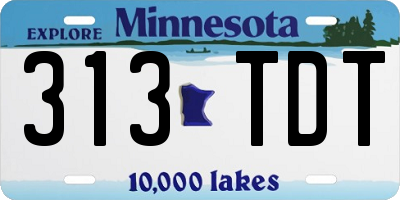 MN license plate 313TDT
