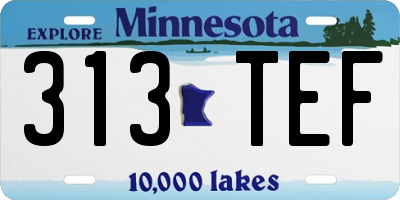 MN license plate 313TEF