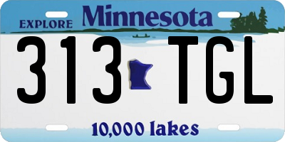MN license plate 313TGL