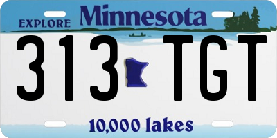 MN license plate 313TGT