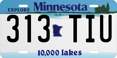 MN license plate 313TIU