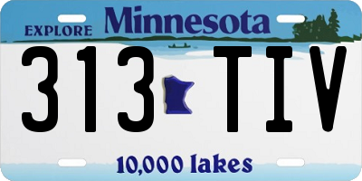 MN license plate 313TIV
