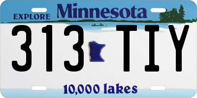 MN license plate 313TIY