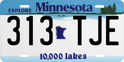 MN license plate 313TJE