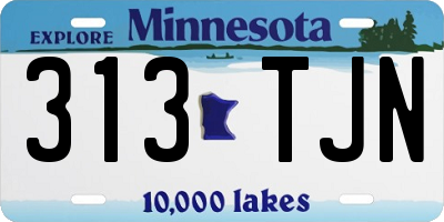 MN license plate 313TJN