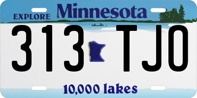 MN license plate 313TJO
