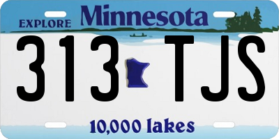 MN license plate 313TJS