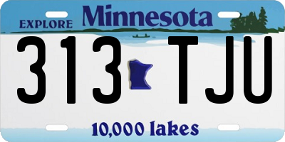 MN license plate 313TJU
