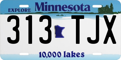 MN license plate 313TJX