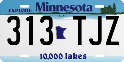 MN license plate 313TJZ