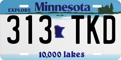 MN license plate 313TKD