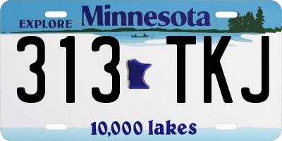 MN license plate 313TKJ