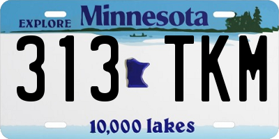 MN license plate 313TKM