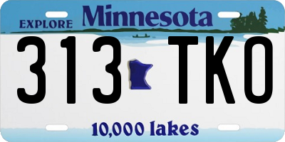 MN license plate 313TKO