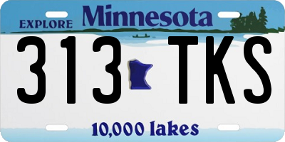 MN license plate 313TKS