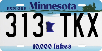 MN license plate 313TKX