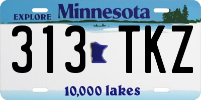 MN license plate 313TKZ