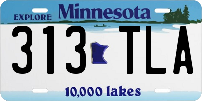MN license plate 313TLA