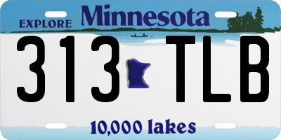 MN license plate 313TLB