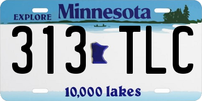 MN license plate 313TLC