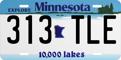 MN license plate 313TLE