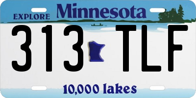 MN license plate 313TLF