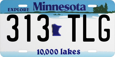 MN license plate 313TLG