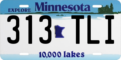 MN license plate 313TLI