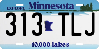 MN license plate 313TLJ