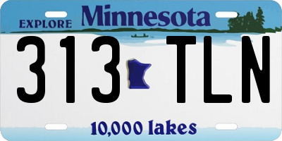 MN license plate 313TLN
