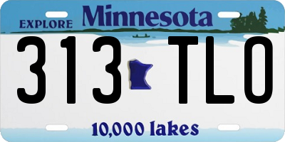 MN license plate 313TLO