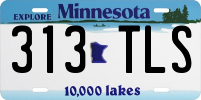 MN license plate 313TLS