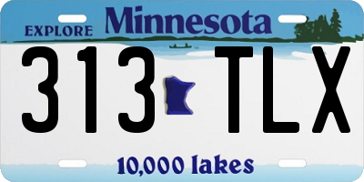 MN license plate 313TLX