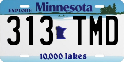 MN license plate 313TMD