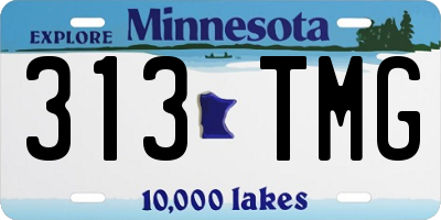 MN license plate 313TMG