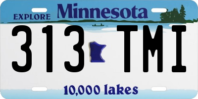 MN license plate 313TMI