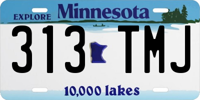 MN license plate 313TMJ