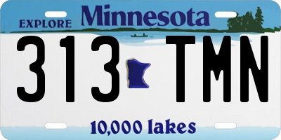 MN license plate 313TMN