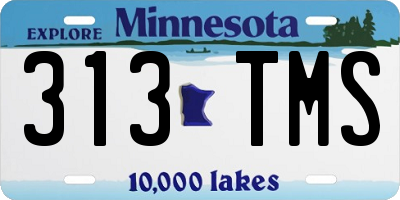 MN license plate 313TMS