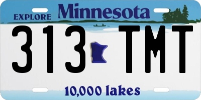 MN license plate 313TMT