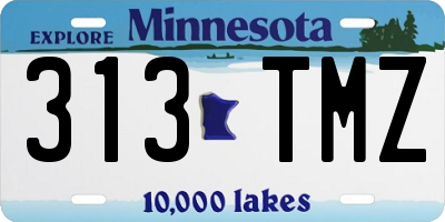 MN license plate 313TMZ